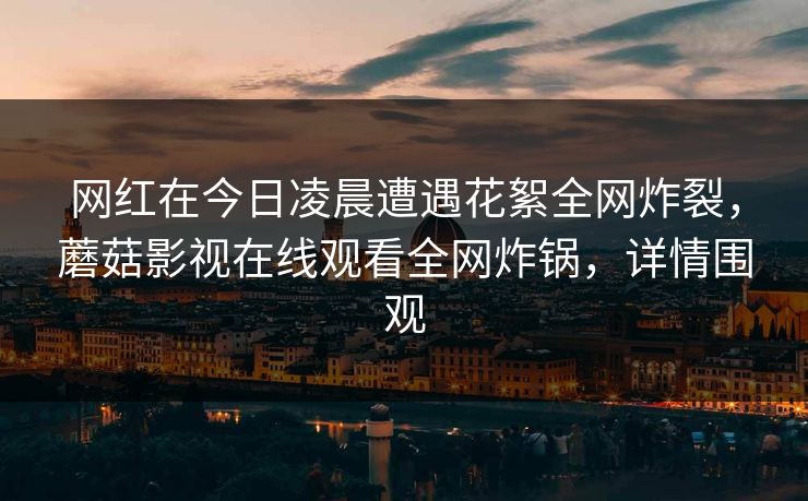 网红在今日凌晨遭遇花絮全网炸裂，蘑菇影视在线观看全网炸锅，详情围观