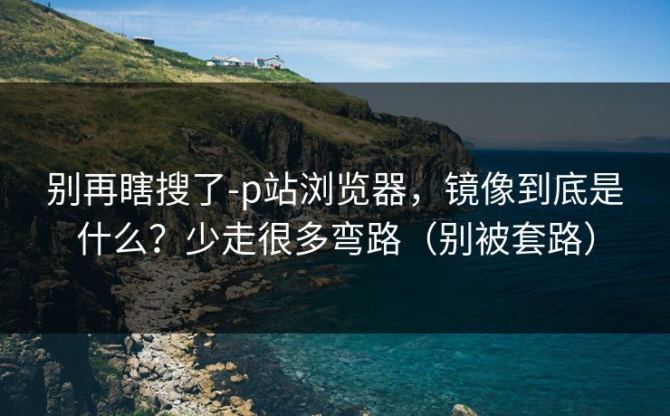 别再瞎搜了-p站浏览器，镜像到底是什么？少走很多弯路（别被套路）